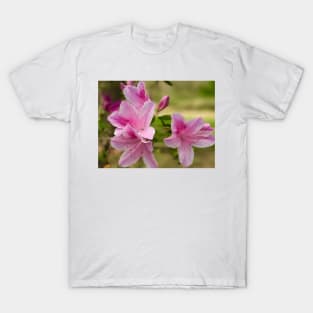 Pink Azalea T-Shirt